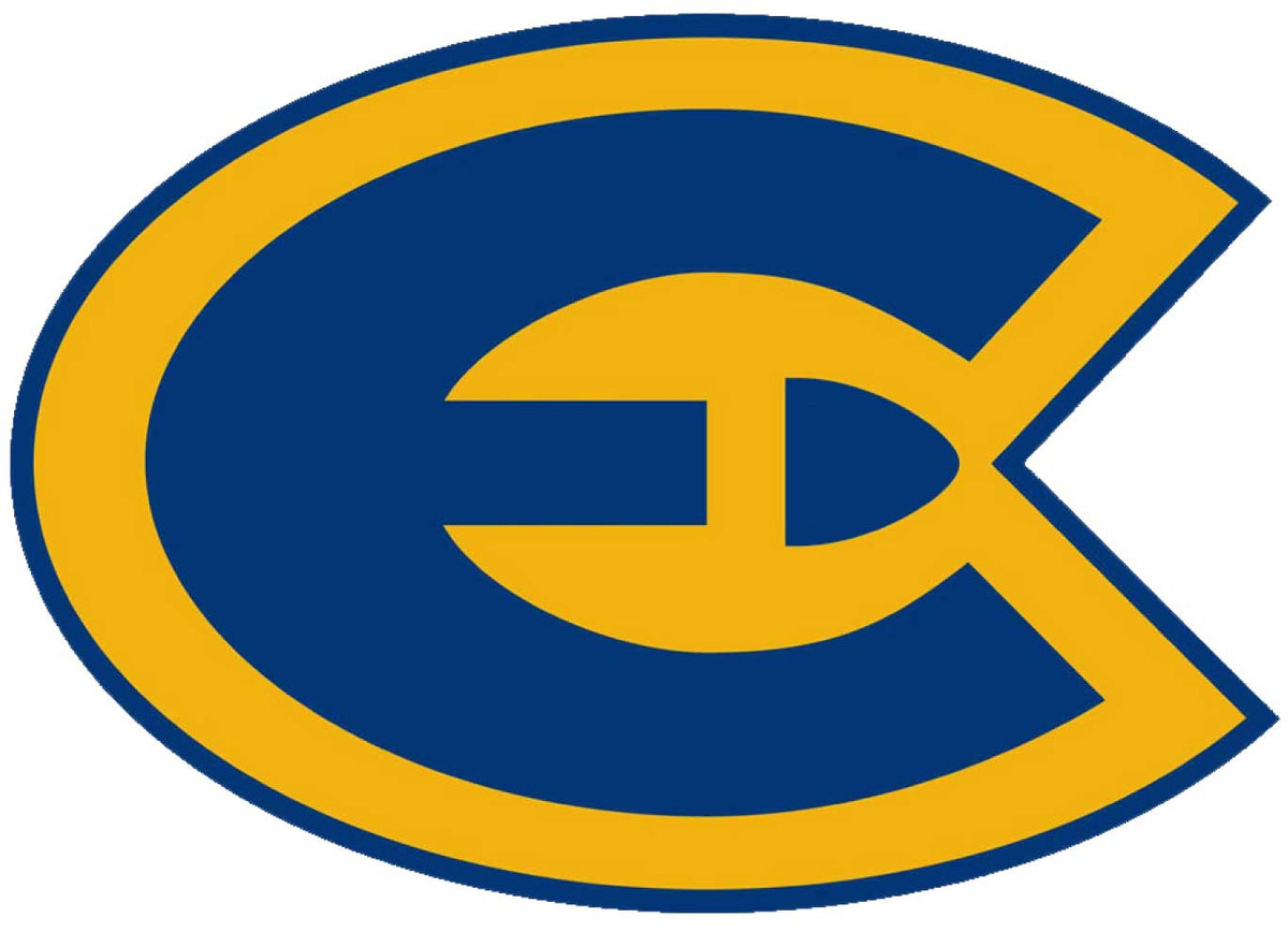 University Of Wisconsin Eau Claire FanCutouts university-of-wisconsin-eau-claire-fancutouts