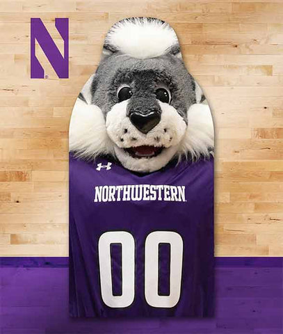 Northwestern Wildcats Cutouts