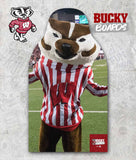 Wisconsin - Bucky Boards